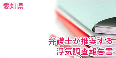 探偵名古屋　弁護士が推奨する浮気調査報告書