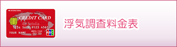 探偵刈谷　浮気調査料金表